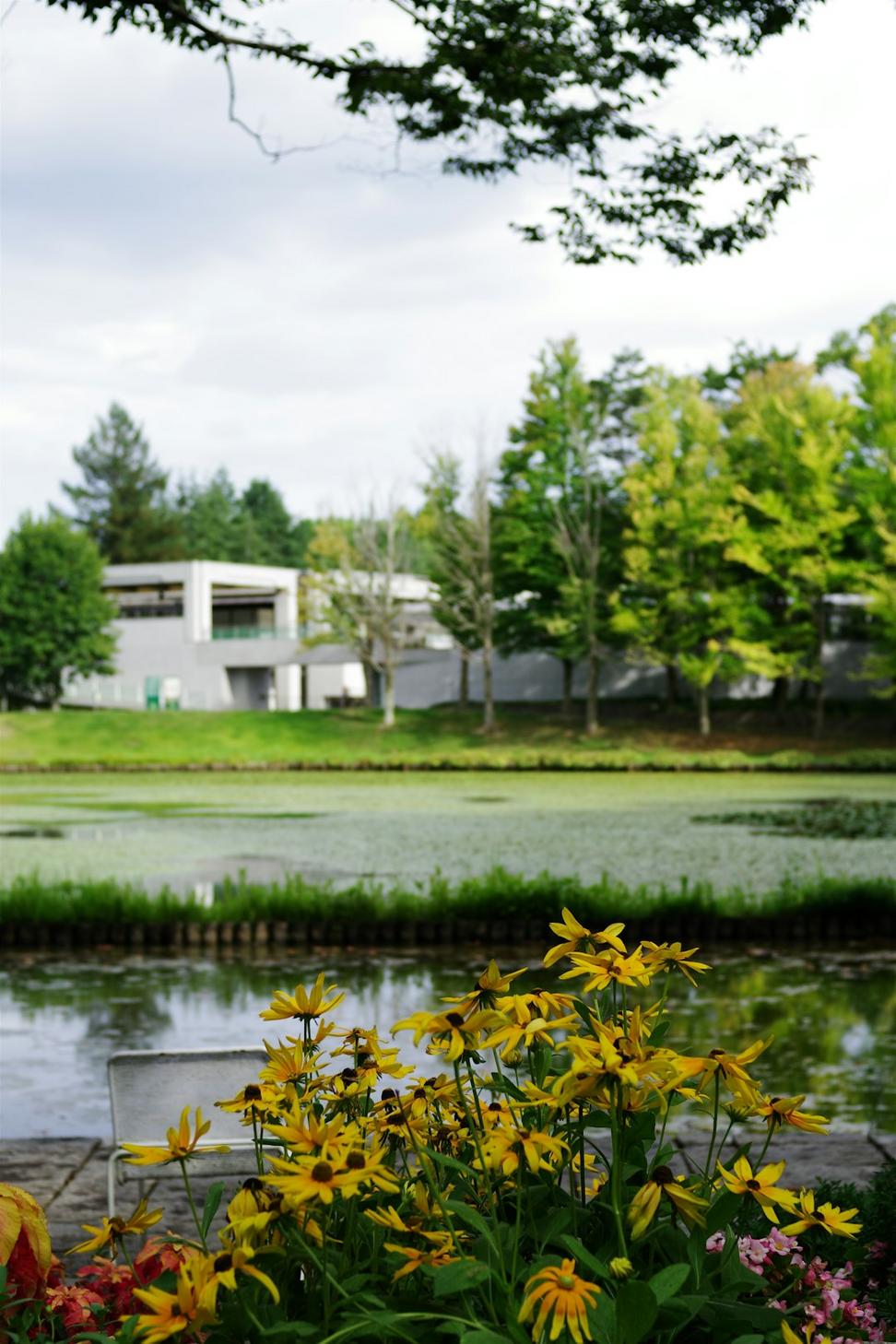 Cedar Grove Townhomes