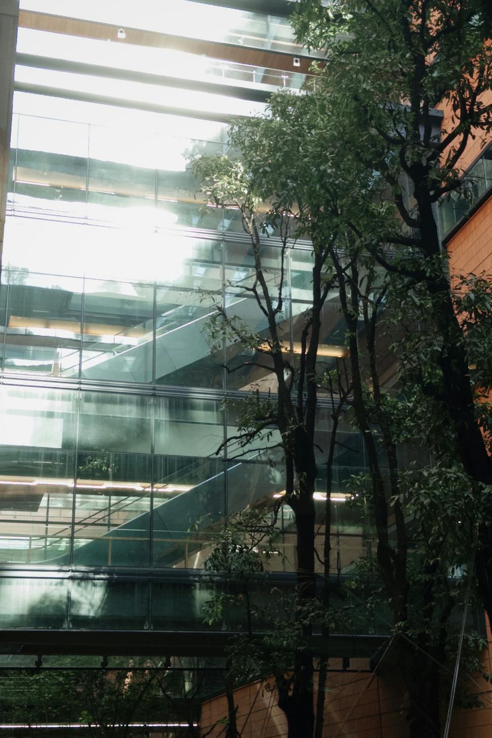 Natural light architecture